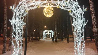 Погода в Коми 28 января: на юге - оттепель, на севере - метель