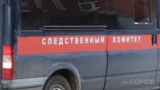 Несовершеннолетний закладчик задержан в Коми: возбуждено уголовное дело