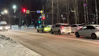 Даже не верится, что так быстро: синоптики назвали точную дату, когда выпадет первый снег