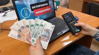 Жительница Коми лишилась денег, пытаясь купить щенка мальтипу
