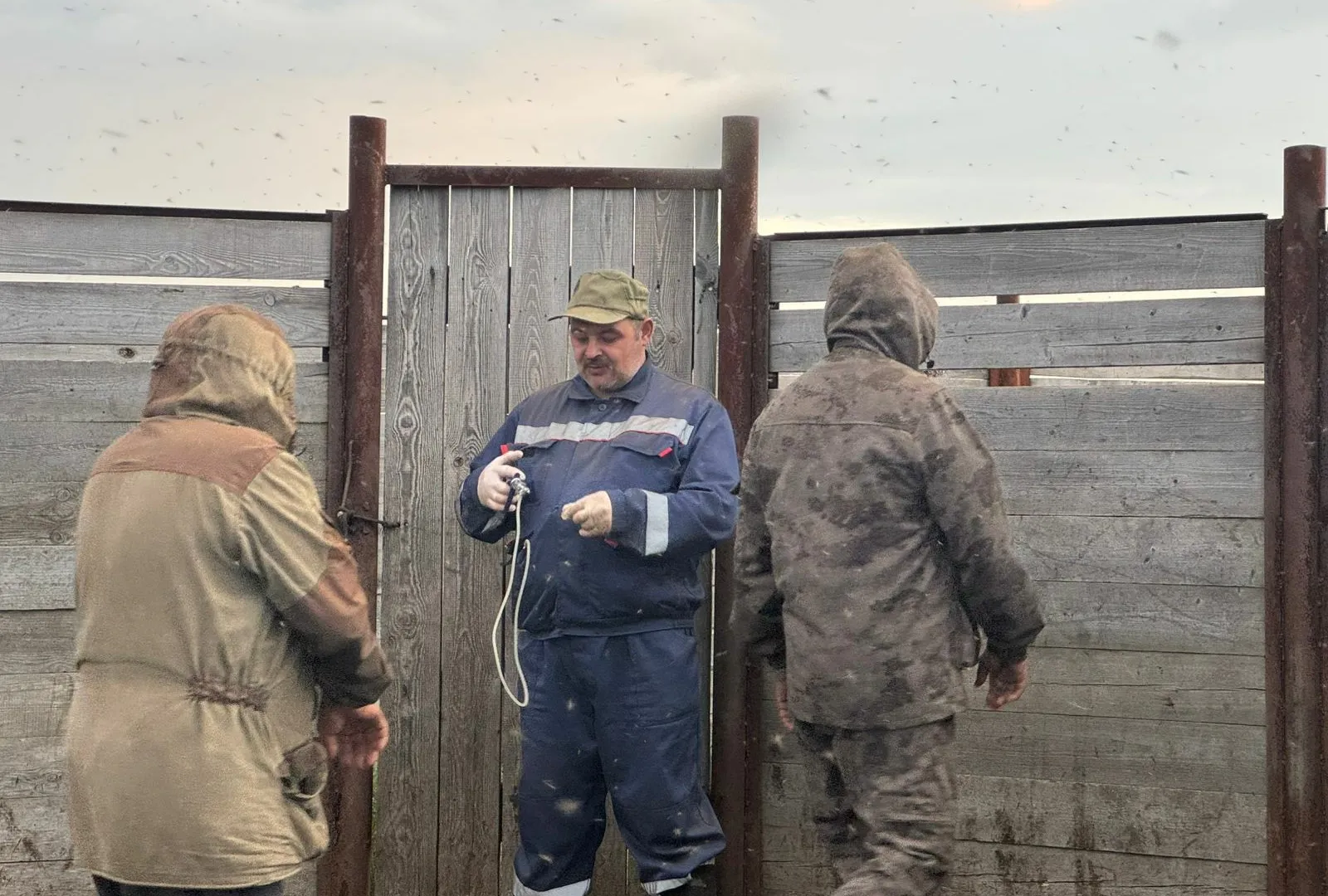 Ветеринары Коми отправились в тундру для масштабной вакцинации оленей