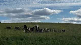 Фермер из Коми удвоил производство мяса с помощью гранта от государства