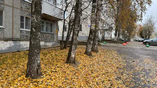 Уходящий октябрь в Коми является лидером по отсутствию осадков