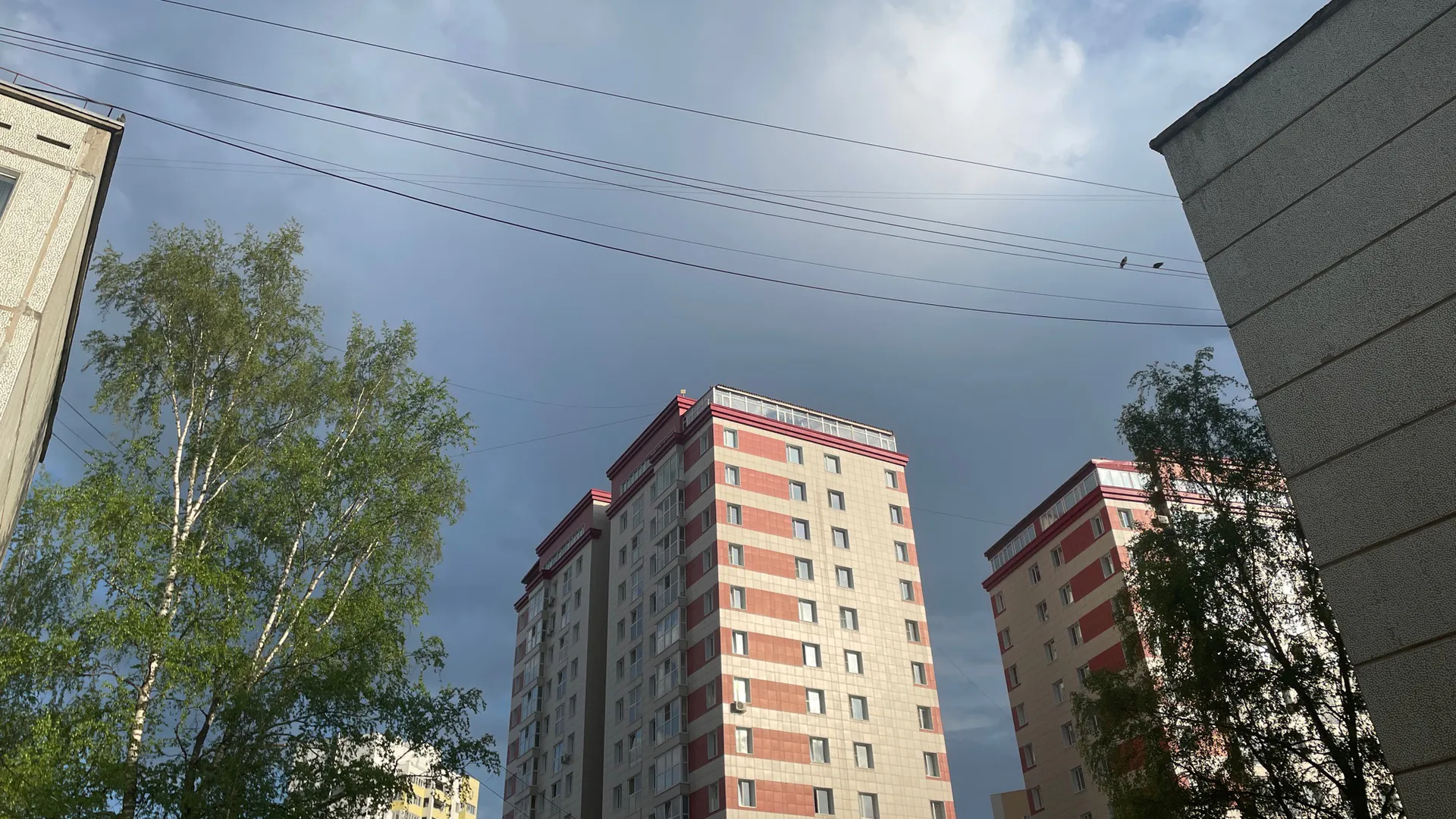 В июне 2024 погодные условия в Коми будут находиться под влиянием циклонов