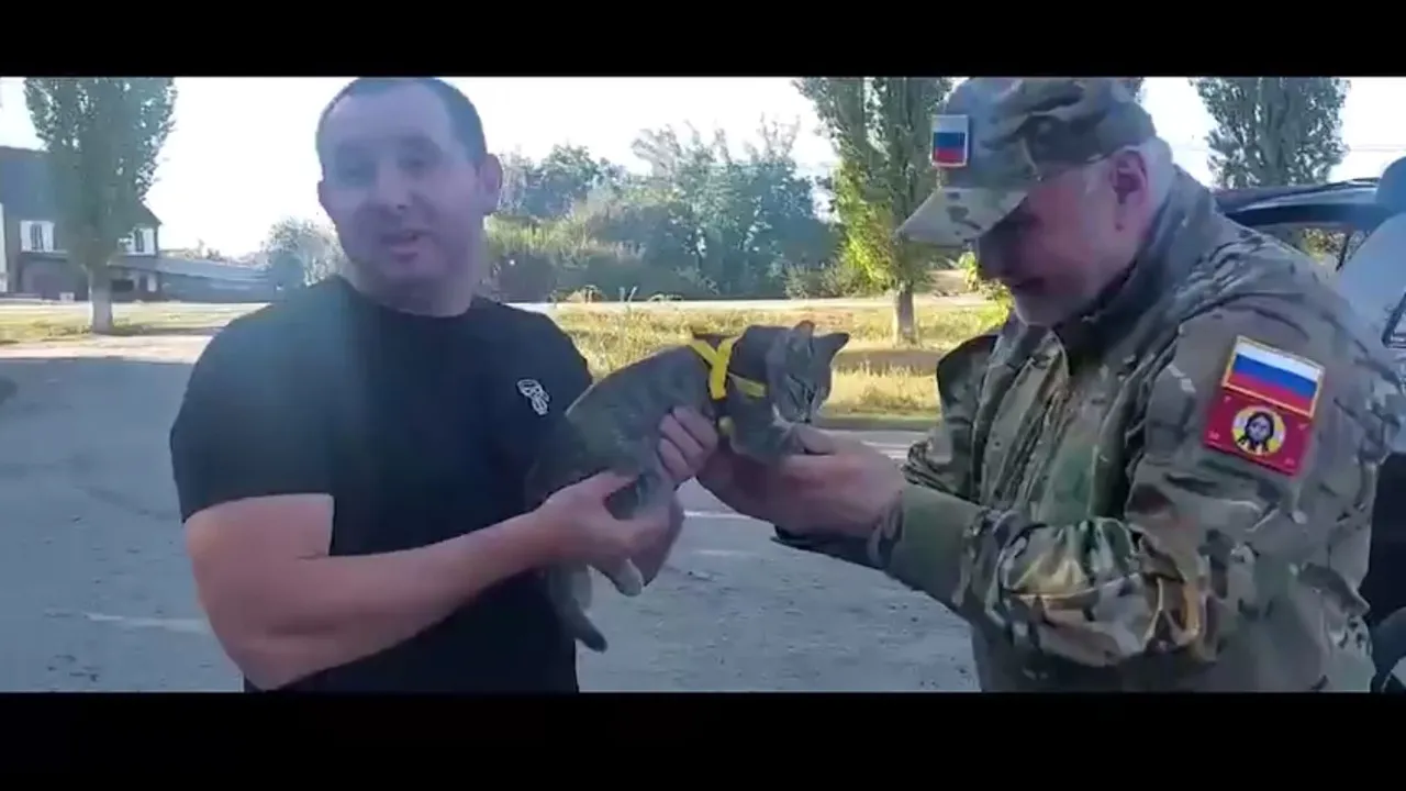 Матери погибшего на СВО жителя Коми привезут котенка с передовой