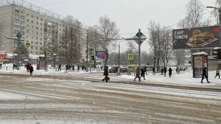 «Снег в мае — знамение сурового 2025 года»: пророчество древних сивилл начинает сбываться