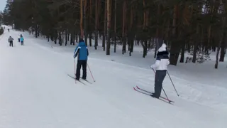 В Коми оперативно восстановили лыжню после вандализма