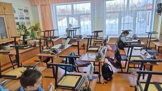 В школах вводят новый предмет: дети радуются, учителя краснеют от возмущения