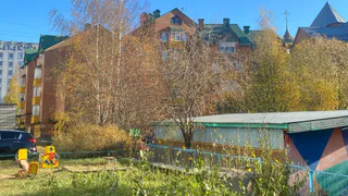 24 сентября Коми встретит ночными заморозками на севере и теплым днем на юге