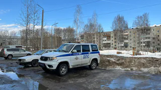 Спасение полицейскими мужчины из задымленного подъезда в Коми отметили на уровне России