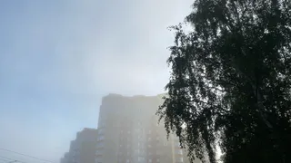 24 августа в Коми ожидается прохладная и дождливая погода