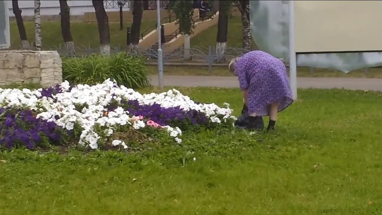 Столица Коми “расцветет” в честь Победы: новые клумбы появятся в городе