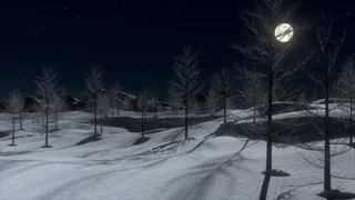 В одном из городов Коми началась полярная ночь