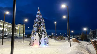 Выходные перенесут из-за обстановки в стране: новогодние каникулы 2024-2025 точно не будут как раньше