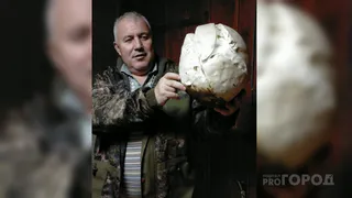 В Коми ученые обнаружили ранее невиданный в регионе гриб