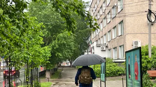 Влажные атлантические вихри принесут дождливую неделю в Коми: надо готовить зонты и теплые вещи