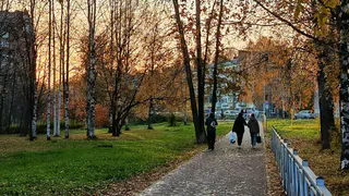 От мороза до слякоти: 28 октября каждый район Коми встретит свою осень