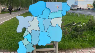 В Коми чаще учатся женщины, а работают мужчины