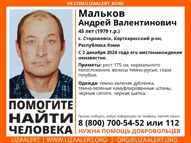 В одном из районов Коми пропал мужчина в зеленой дубленке