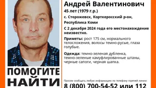 В одном из районов Коми пропал мужчина в зеленой дубленке