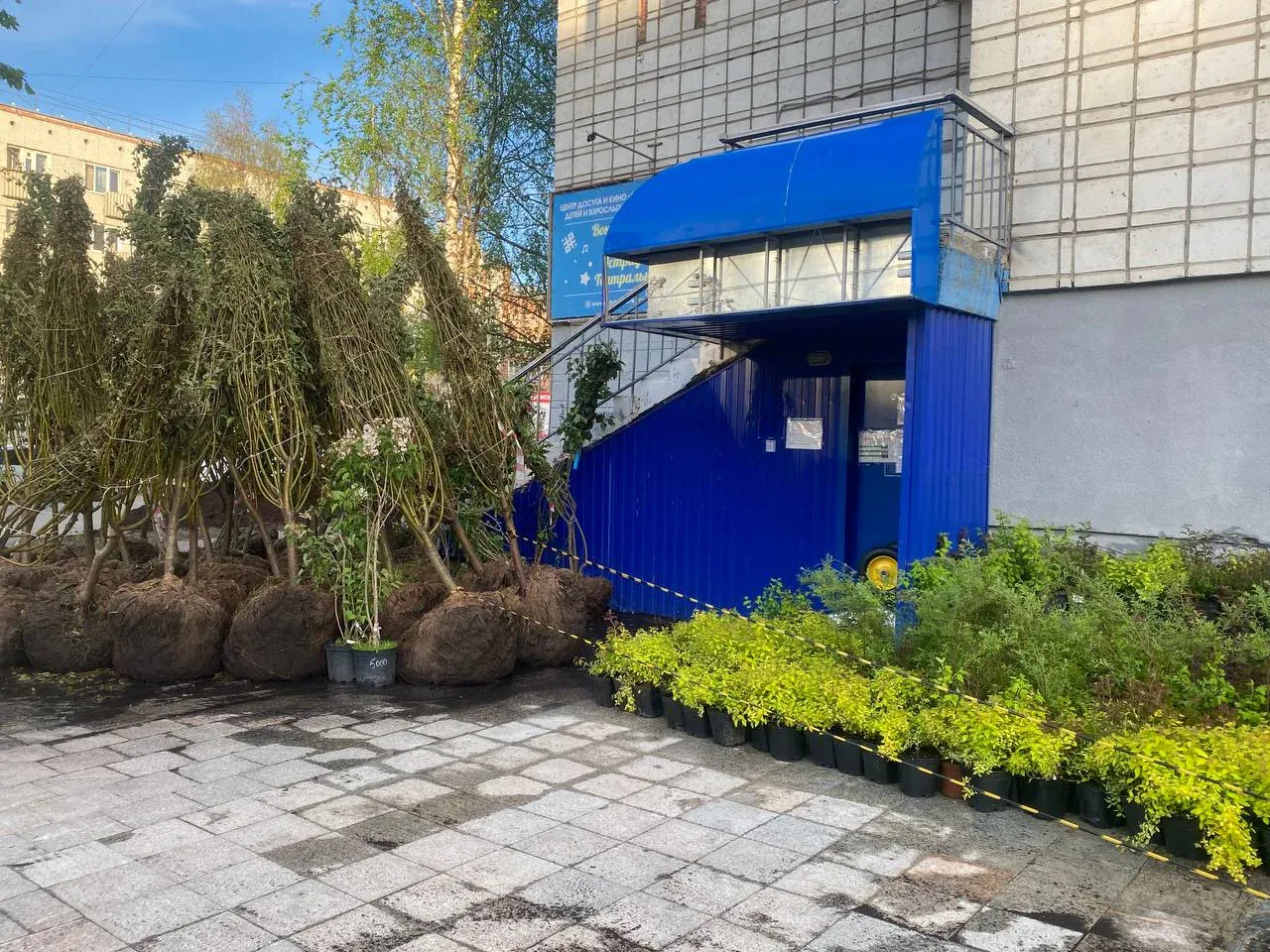 В Сыктывкаре на радость жителям преображается Яблоневая аллея