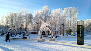 Полевая кухня и огненное шоу: Сыктывкар отметит День защитника Отечества