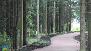 Злостные вандалы нанесли одному из парков ущерб на 294 000 рублей