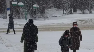 Пенсии начнут приходить в другое время: в Соцфонде сказали, как все будет