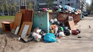 В Коми прокуратура добилась уничтожения незаконных свалок в лесу