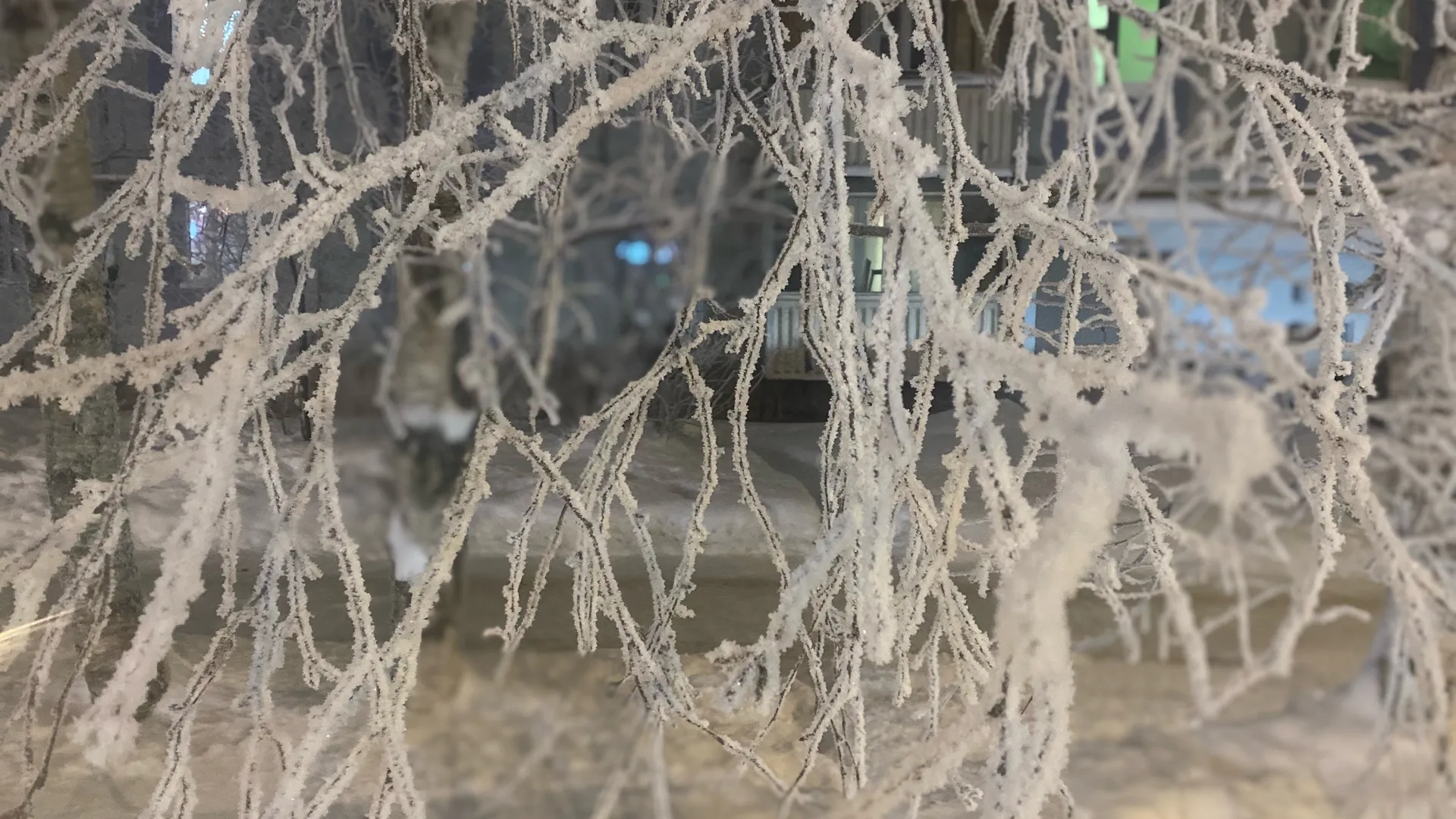 17 января принесет в Коми погожий зимний день с приятными -12°C и легким снегом