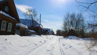Дачники кипят от ярости: со следующей недели на огородах начнут сносить заборы