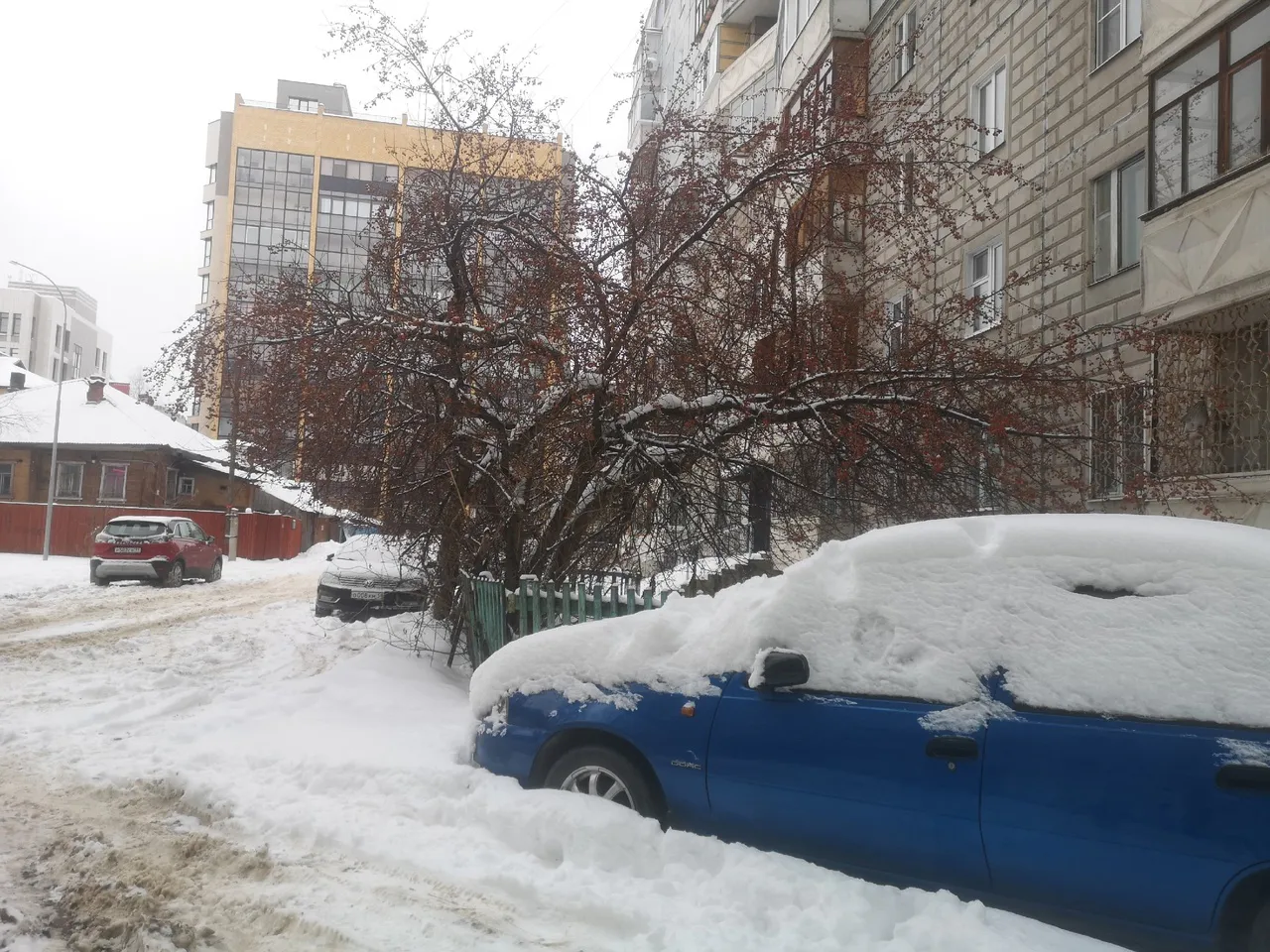 Жителей Коми ждут нежданные перемены климата