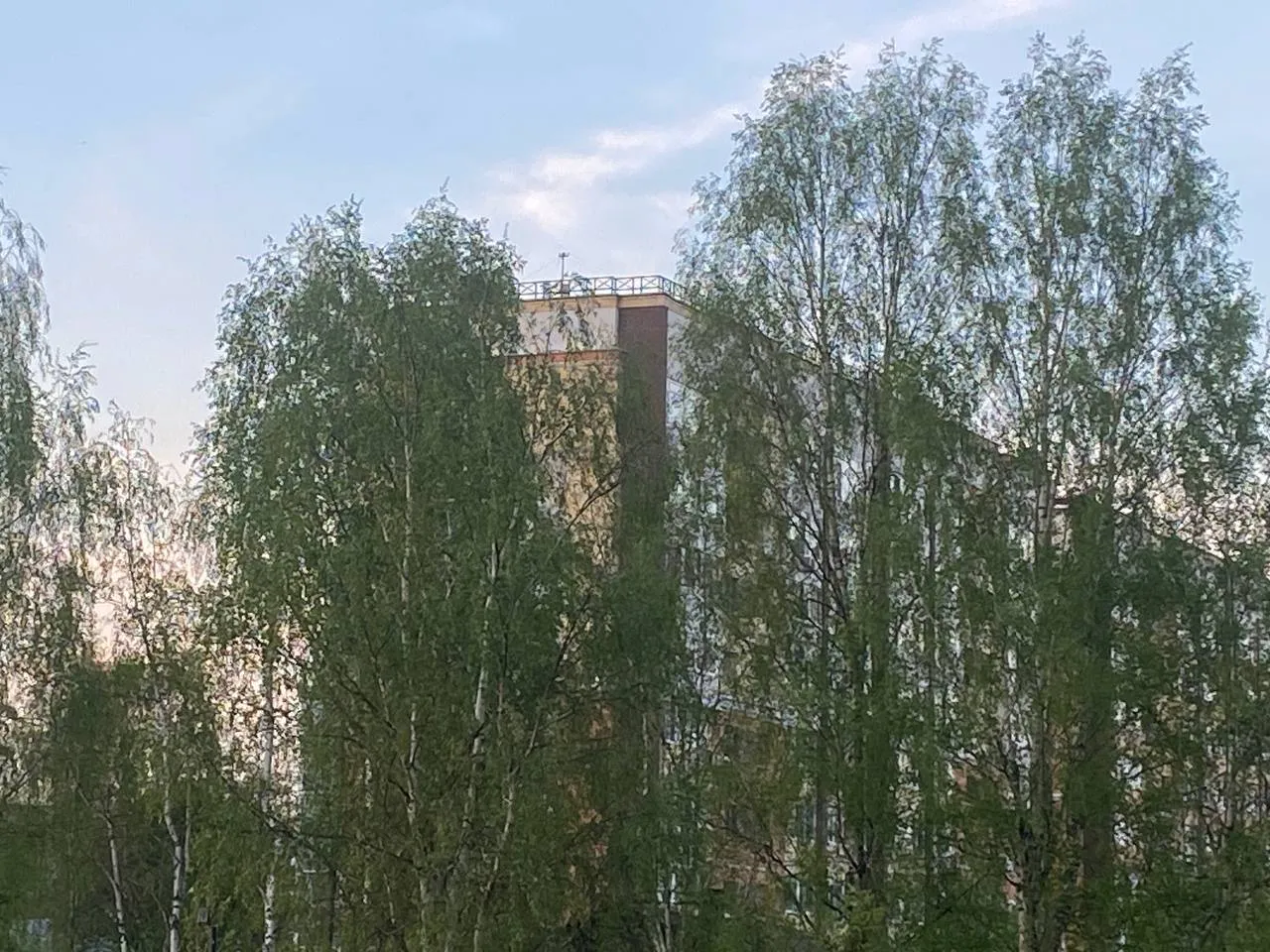 28 мая принесет в Коми "плюс" на всю территорию: от +4 до +30°C
