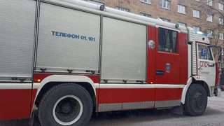 База отдыха "Зеленецкие Альпы" в Коми заплатила туристам ущерб от пожара