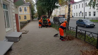Сыктывкарские дорожники объяснили необходимость уборки осенней листвы