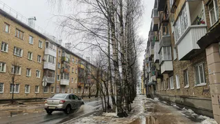 В Коми молодого лихача на автомобиле "Лада Калина" остановило дерево