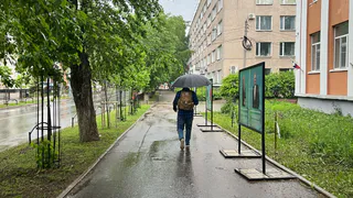 Аномальная зима породит невыносимое лето: синоптики рассказали, к чему нужно готовиться в 2025