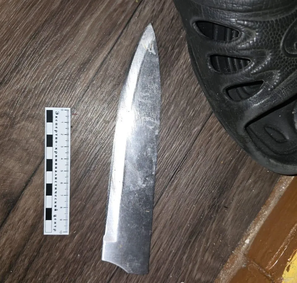Житель Коми ответит перед судом за нападение на сожительницу и угрозы полиции