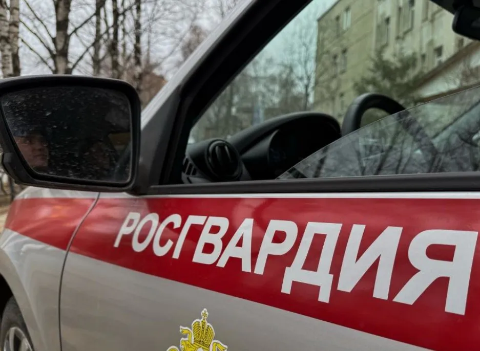 Сотрудники Росгвардии задержали сыктывкарку за драку в баре столицы Коми