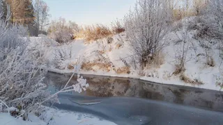 В октябре средняя температура воздуха на территории РК ожидается выше нормы