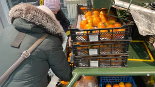 "Берите впрок, пока не поздно": россиян предупреждают о серьезном подорожании самого популярного товара