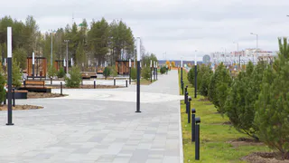 Оазис природы в Ухте: в Коми создают новый "Газпром-парк"