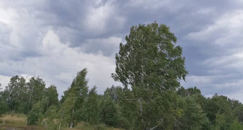 В Коми удерживаются глубокие циклоны из Балтики