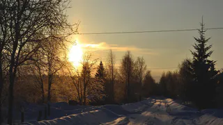 Морозы, снег и ураганный ветер: как пережить 20 февраля в Коми?