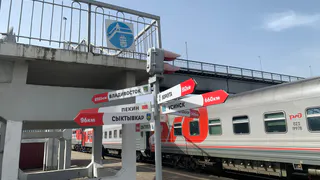 "Заяц" из Сыктывкара по решению судьи вместо 73 заплатит 3650 рублей