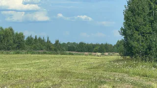 В Коми полным ходом идет кормозаготовительная кампания