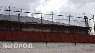 В Коми вор-рецидивист получил наказание за серию из 35 краж