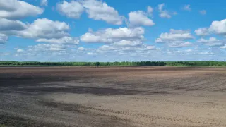 В Коми завершают посевную кампанию и готовятся ко Дню поля