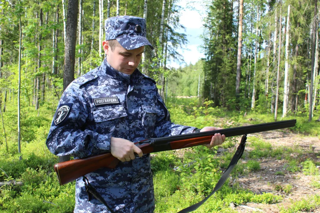 Охотника в Коми накажут за утерю своего оружия