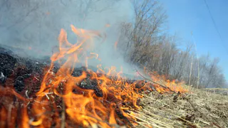 В Коми идет подготовка к пожароопасному сезону